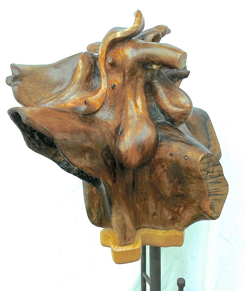 Ceppo di noce 1