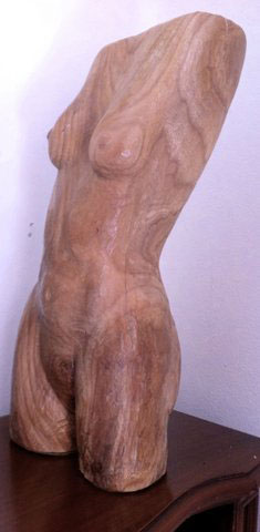 Torso 1